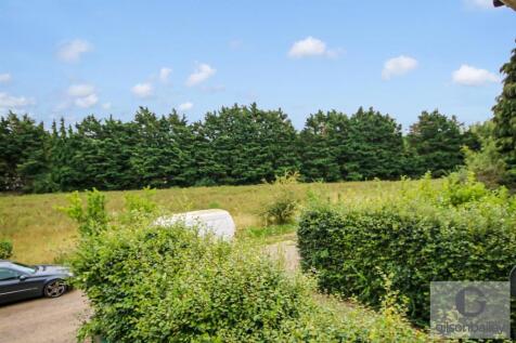 IMG_2580-2.jpg