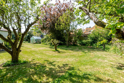 Garden 5