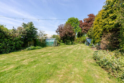 Garden 6