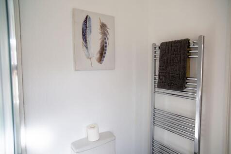 Picture 7