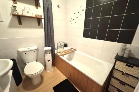 Picture 8