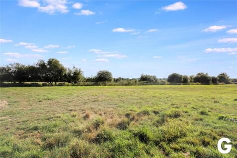 Meadow View