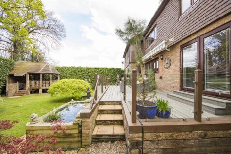 Deck &amp; Pond