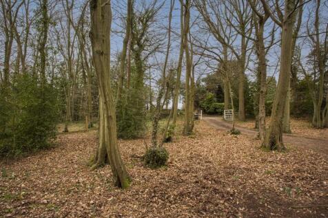 Wooded Entrance