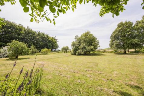 Extensive Garden