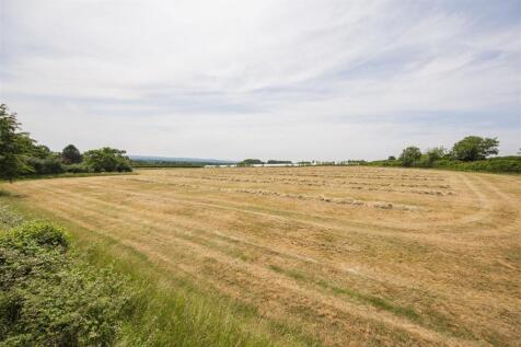 Farmland Views