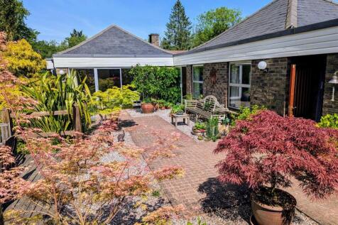 Owner - Patio.jpg