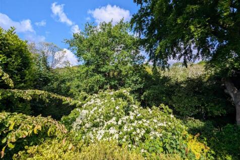 Garden - June 25.jpg