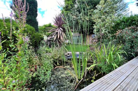 Pond