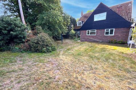 Rear Garden2