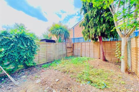 garden.jpeg