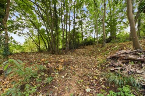 CAM03789G0-PR0037-ST