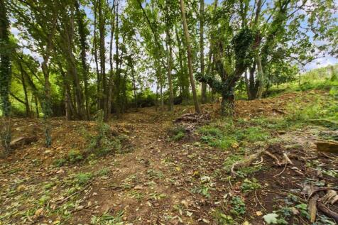 CAM03789G0-PR0037-ST