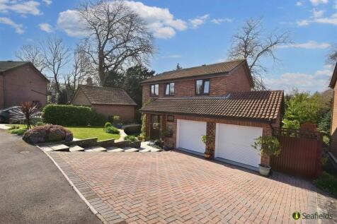 Driveway and Double Garage