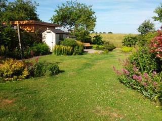 Rear garden in summer