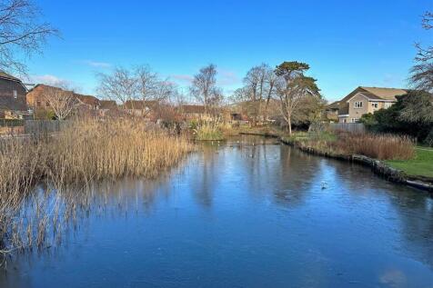 Duck Pond
