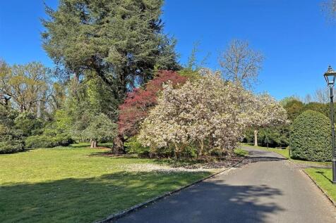 Extra 10_driveway