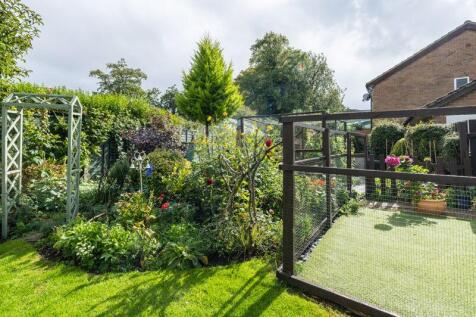 Rear garden allotment 