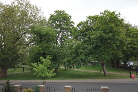Surrounding Area