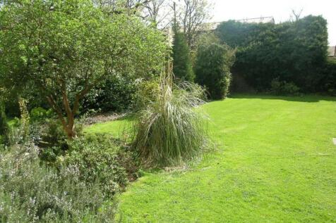 Communal Garden