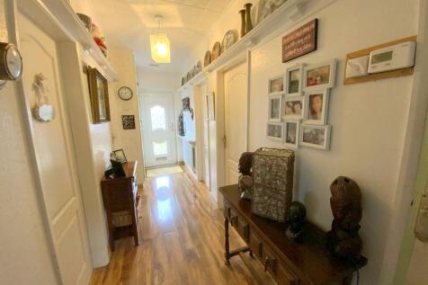 resized_IMG_5866.jpg