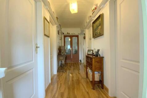 resized_IMG_5867.jpg