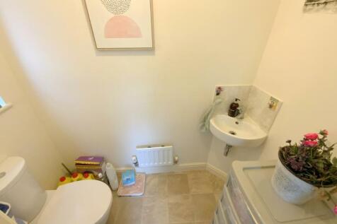 resized_IMG_7914.jpg