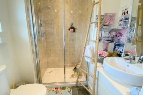 resized_IMG_7867.jpg