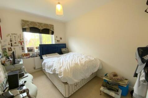 resized_IMG_7879.jpg