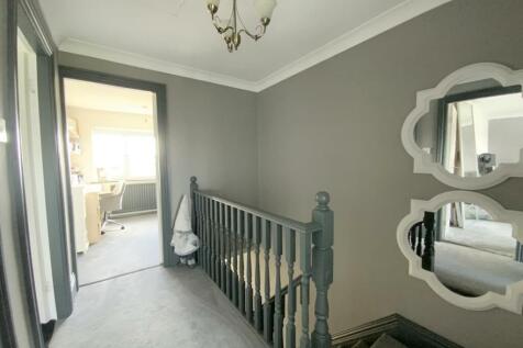 resized_IMG_9884.jpg
