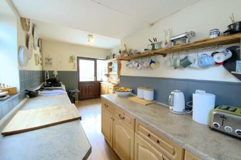 resized_IMG_4548.jpg