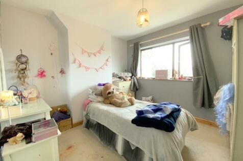 resized_IMG_4519.jpg