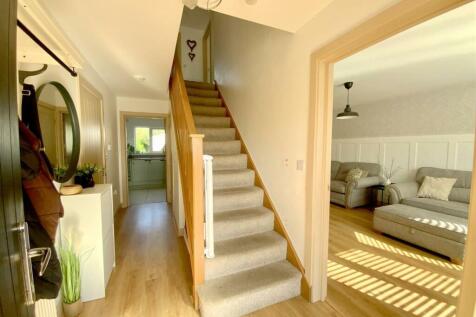 resized_IMG_5403..jpg