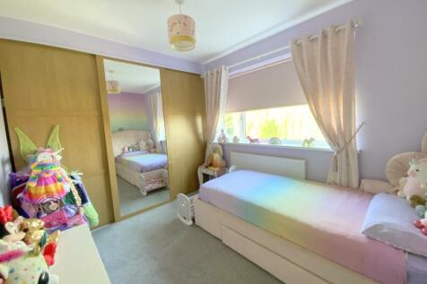 resized_IMG_5786.jpg