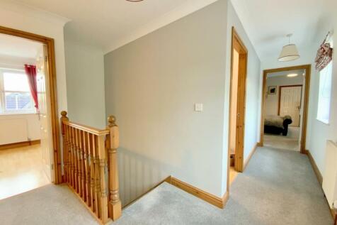 resized_IMG_7891..jpg