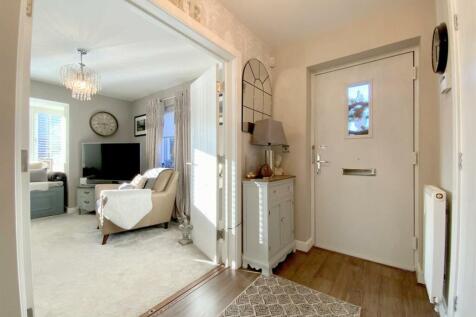 resized_IMG_8035..jpg
