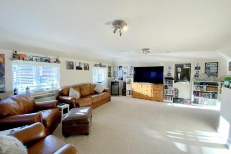 resized_IMG_8088..jpg