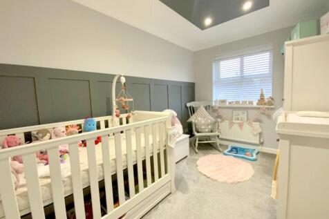 resized_IMG_0905..jpg