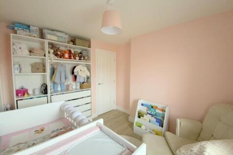 resized_IMG_2715..jpg