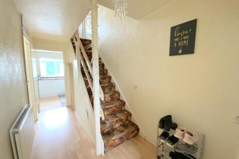 resized_IMG_4895.jpg