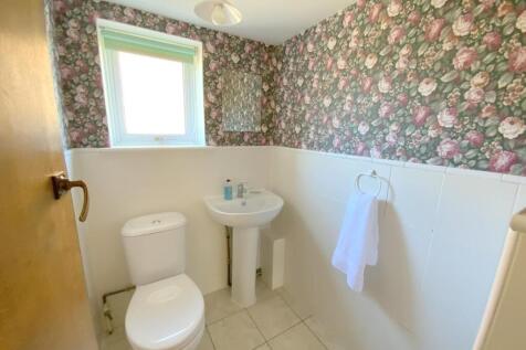 resized_IMG_5281.jpg