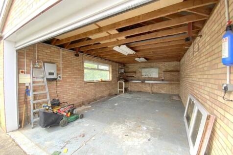 resized_IMG_5784.jpg