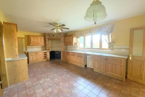 resized_IMG_0502.jpg