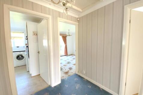 resized_IMG_7373.jpg