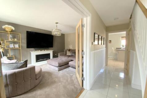 resized_IMG_8715..jpg