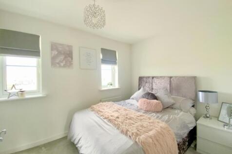 resized_IMG_2025..jpg