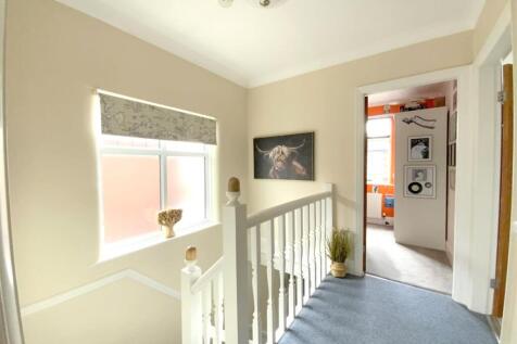 resized_IMG_2482..jpg