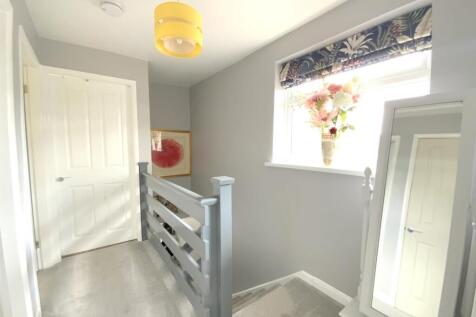 resized_IMG_3032..jpg