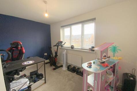 resized_IMG_7232.jpg