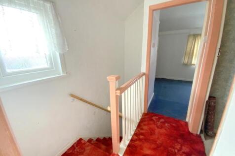 resized_IMG_4237.jpg